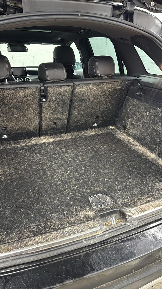 Coffre plein de poils avant le passage de Badri Detailing